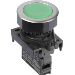 S3PF-P1G
